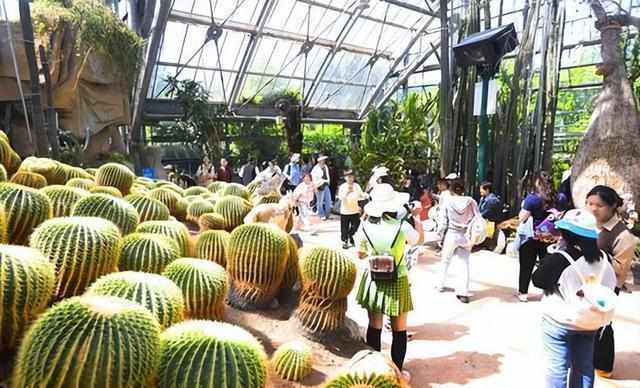 告别城市压抑,渴望春日治愈:构建数字化春游体验模型 IT技术