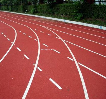 霍奇金森51秒49刷新个人400米最好成绩,称一直跑800米有点腻 新闻