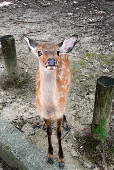 经济日报金观平:完善西部陆海新通道金融服务体系 新闻