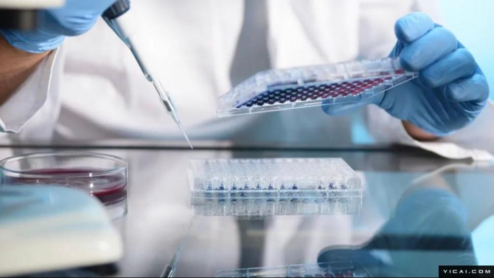 医药产业资本流向:千亿级投资背后的逻辑与未来图景 新闻