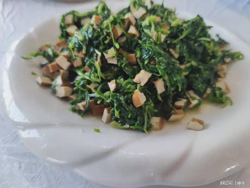  【民俗解码】农历二月十九的饮食密码与祈福仪式：一份来自传统的智慧指南 文化旅游