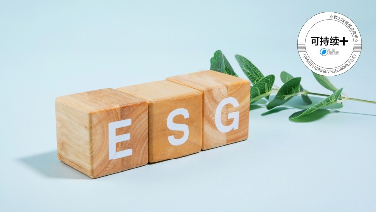  【地缘观察】夏巴兹·谢里夫多哈之行：巴基斯坦与卡塔尔战略协作的深层逻辑 新闻