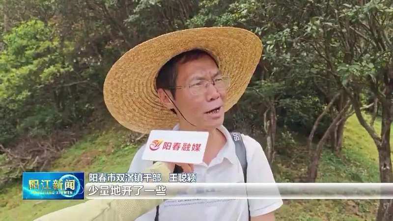  【技术解密】鸡笼顶云锦杜鹃爆发密码：1280米高山的生态奇观与户外运动价值 文化旅游