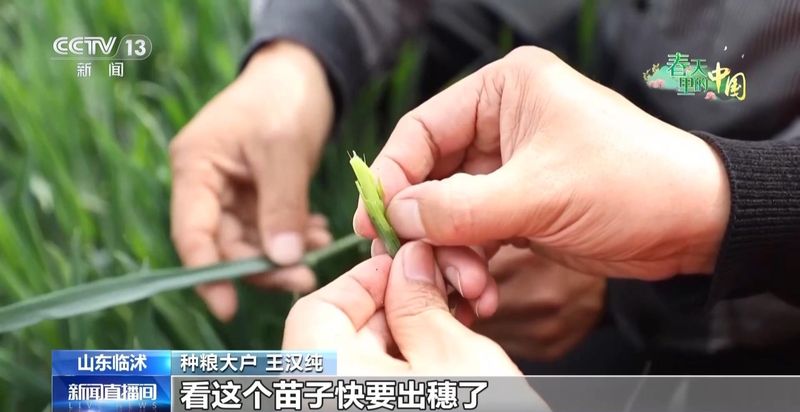  从“靠天吃饭”到“数据种田”：临沭智慧农业平台的实战复盘 IT技术