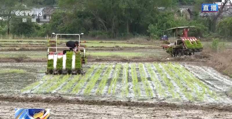  从“靠天吃饭”到“数据种田”：临沭智慧农业平台的实战复盘 IT技术