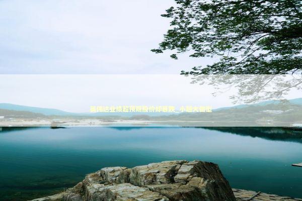 英伟达业绩超预期股价却暴跌_小题大做型 新闻