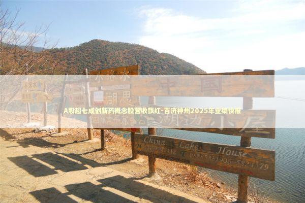 A股超七成创新药概念股营收飘红-百济神州2025年业绩快报 A股超七成创新药概念股营收飘红-百济神州2025年业绩快报 新闻