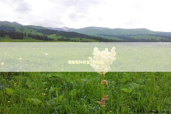 港股恒科收复5000点 新闻