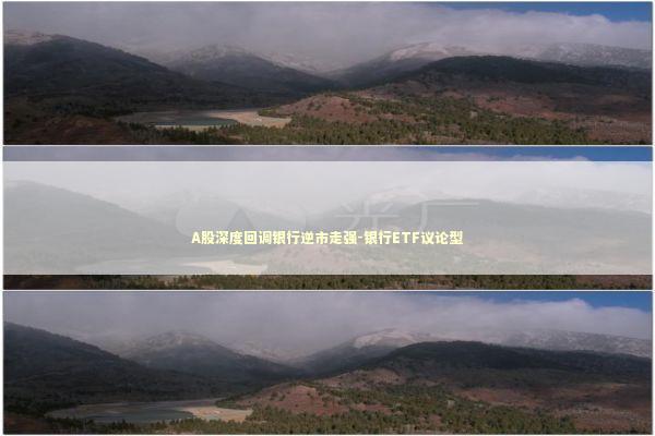 A股深度回调银行逆市走强-银行ETF议论型 A股深度回调银行逆市走强-银行ETF议论型 新闻