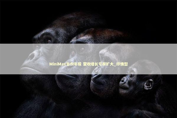 MiniMax首份年报 营收增长亏损扩大_抒情型 新闻