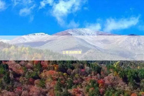 公募调研数据 新闻