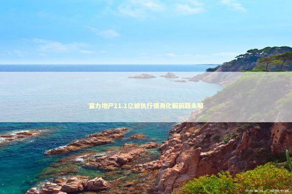 富力地产11.1亿被执行债务化解前路未明 新闻