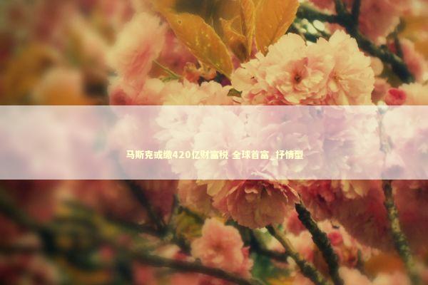 马斯克或缴420亿财富税 全球首富_抒情型 马斯克或缴420亿财富税 全球首富_抒情型 新闻