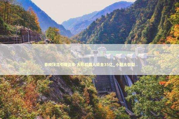 春晚顶流引爆资本 人形机器人吸金35亿_小题大做型 春晚顶流引爆资本 人形机器人吸金35亿_小题大做型 新闻