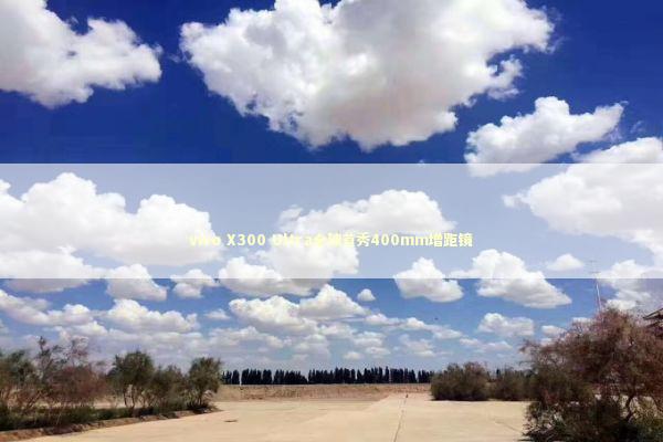 vivo X300 Ultra全球首秀400mm增距镜 vivo X300 Ultra全球首秀400mm增距镜 新闻