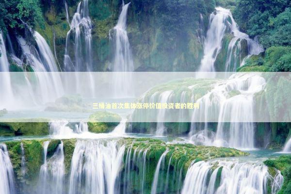 三桶油首次集体涨停价值投资者的胜利 三桶油首次集体涨停价值投资者的胜利 新闻