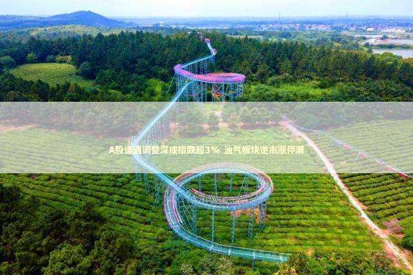 A股遭遇调整深成指跌超3% 油气板块逆市涨停潮 新闻