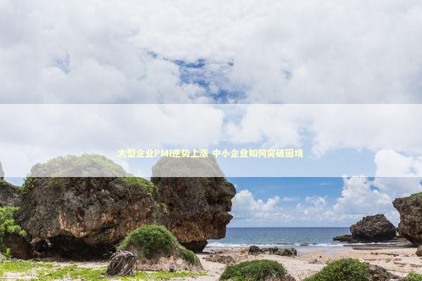 大型企业PMI逆势上涨 中小企业如何突破困境 新闻