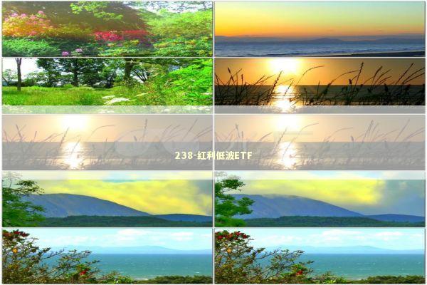 238-红利低波ETF 新闻