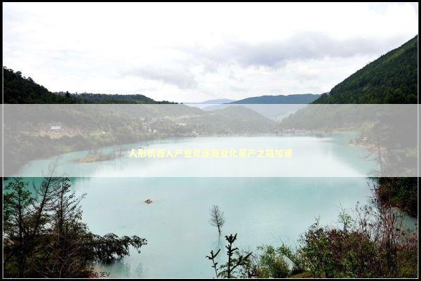 人形机器人产业竞逐商业化量产之路加速 新闻