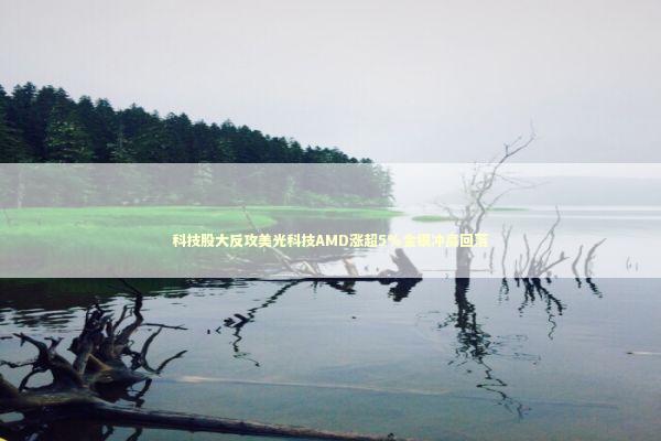 科技股大反攻美光科技AMD涨超5%金银冲高回落 新闻