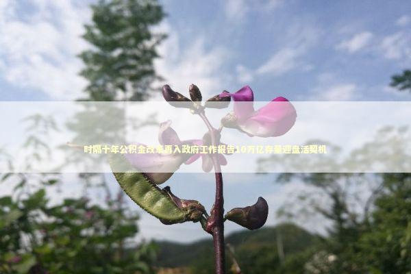 时隔十年公积金改革再入政府工作报告10万亿存量迎盘活契机 新闻