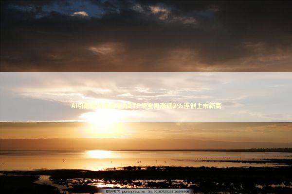 AI引爆板块需求电力ETF华宝再涨近2%连创上市新高 新闻