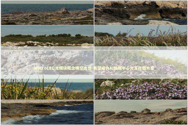 MicroLED光模块概念横空出世 有望成为AI数据中心光互连新方案 MicroLED光模块概念横空出世 有望成为AI数据中心光互连新方案 新闻