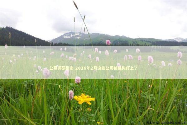 公募调研指南 2026年2月这些公司被机构盯上了 新闻