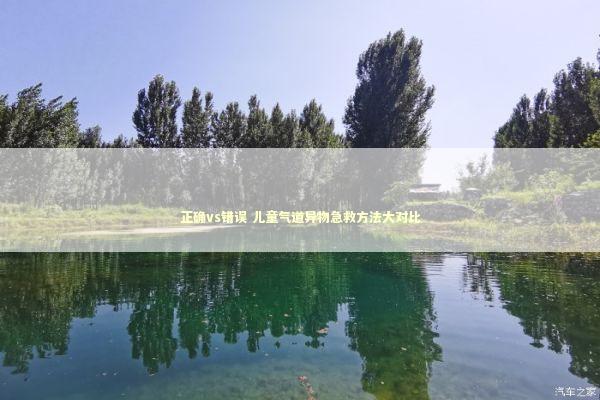 正确vs错误 儿童气道异物急救方法大对比 正确vs错误 儿童气道异物急救方法大对比 新闻