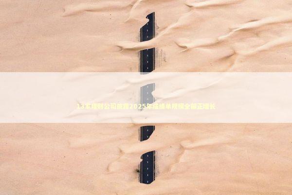 13家理财公司披露2025年成绩单规模全部正增长 新闻