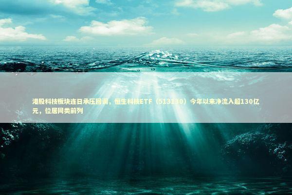 港股科技板块连日承压回调，恒生科技ETF（513130）今年以来净流入超130亿元，位居同类前列 新闻