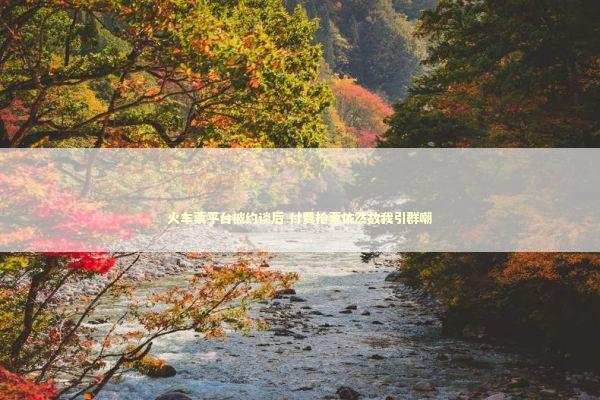 火车票平台被约谈后 付费抢票依然故我引群嘲 火车票平台被约谈后 付费抢票依然故我引群嘲 新闻