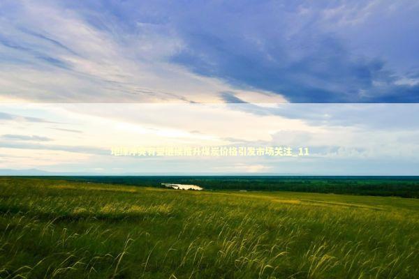 地缘冲突有望继续推升煤炭价格引发市场关注_11 地缘冲突有望继续推升煤炭价格引发市场关注_11 新闻