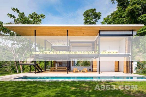 Shams：开拓者与被雷霆裁掉的扬布拉德签订了一份双向合同 新闻