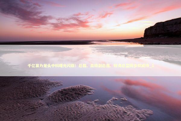 千亿算力龙头中科曙光闪崩！总裁、高级副总裁、财务总监同步拟减持_1 新闻