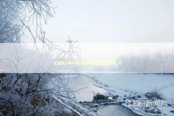 证监会公布4件全国两会建议提案答复_6 证监会公布4件全国两会建议提案答复_6 新闻