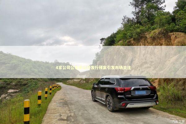 4家公司公布非公开发行预案引发市场关注 4家公司公布非公开发行预案引发市场关注 新闻