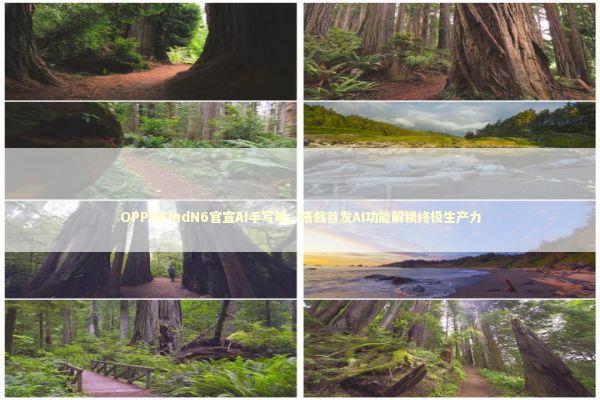 OPPOFindN6官宣AI手写笔,搭载首发AI功能解锁终极生产力 OPPOFindN6官宣AI手写笔,搭载首发AI功能解锁终极生产力 新闻