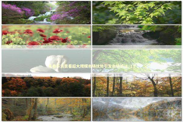 从春节消费看超大规模市场优势引发市场关注_11 新闻