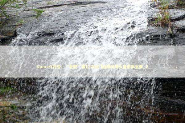 SpaceX高管：“星舰”第12次试飞在即月球火星都很重要_2 新闻