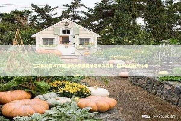 王楚钦加冕WTT新加坡大满贯男单冠军的背后：国乒的隐忧与未来 新闻