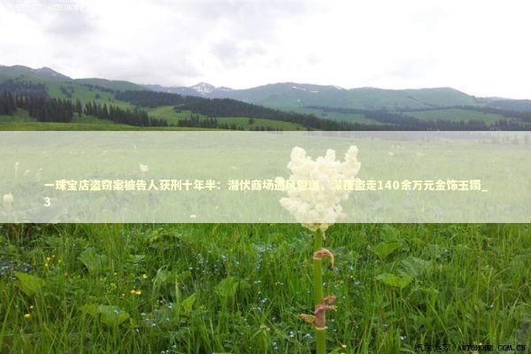 一珠宝店盗窃案被告人获刑十年半:潜伏商场通风管道,深夜盗走140余万元金饰玉镯_3 一珠宝店盗窃案被告人获刑十年半:潜伏商场通风管道,深夜盗走140余万元金饰玉镯_3 新闻