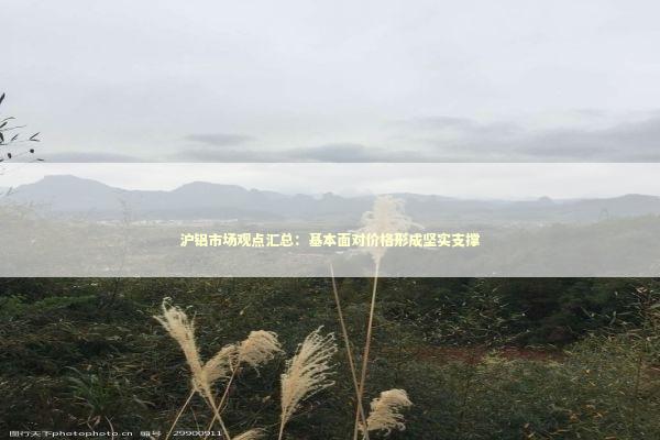 沪铝市场观点汇总：基本面对价格形成坚实支撑 新闻