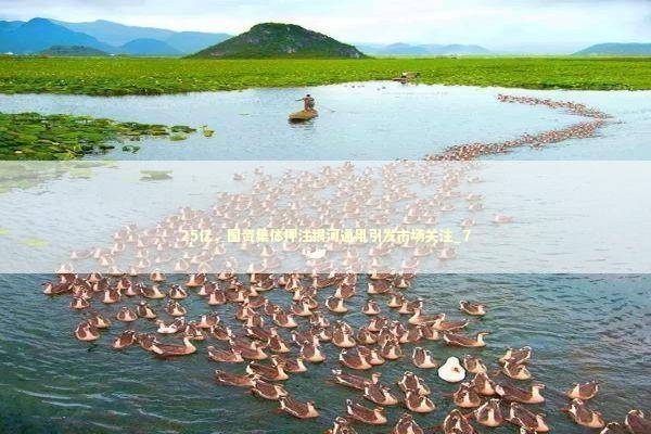 25亿，国资集体押注银河通用引发市场关注_7 新闻