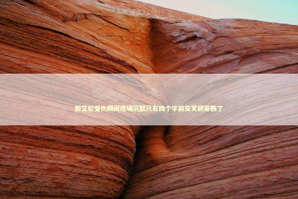 郭艾伦受伤瞬间现场沉默只有四个字前交叉韧带断了 新闻