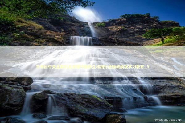 共青团中央直属机关部署开展树立和践行正确政绩观学习教育_5 新闻