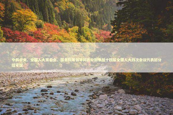 中共中央、全国人大常委会、国务院等领导同志分别参加十四届全国人大四次会议代表团分组审议 新闻