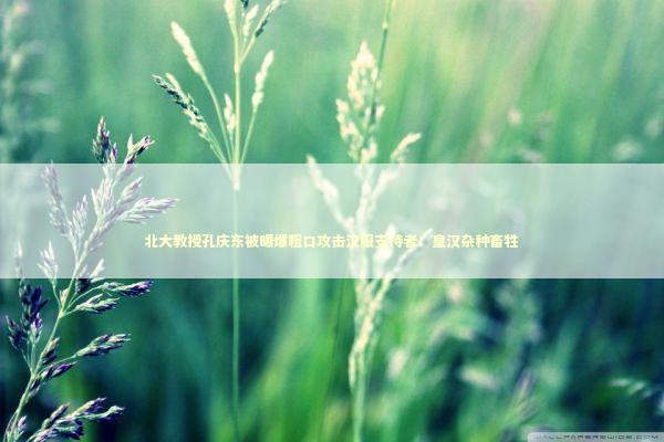 北大教授孔庆东被曝爆粗口攻击汉服支持者：皇汉杂种畜牲 新闻