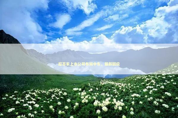 超百家上市公司布局中东，最新回应